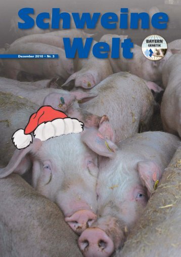 Schweine-Welt-2010-Dezember-web