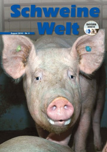 Schweine-Welt-2010-August-web