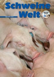 Schweine-Welt-2010-April-web