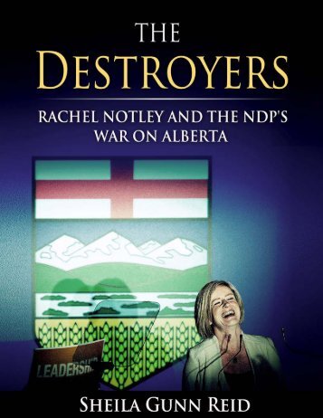 thedestroyers-book