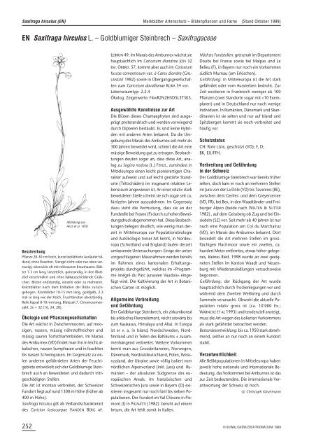 EN Saxifraga hirculus L. – Goldblumiger Steinbrech ... - Info Flora