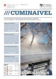 2016 CUMINAIVEL #11