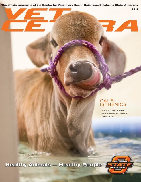 Vet Cetera magazine 2015