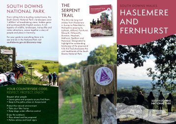 HASLEMERE AND FERNHURST