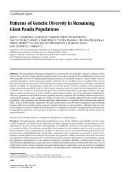 Patterns of Genetic Diversity in Remaining Giant Panda Populations