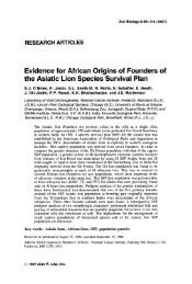 Evidence for African origins of founders of the asiatic lion species ...