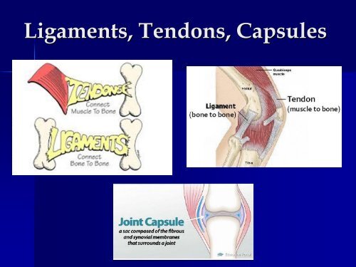 Dislocation/Subluxation Management Or ‘I’m Just Popping Out for a While!’