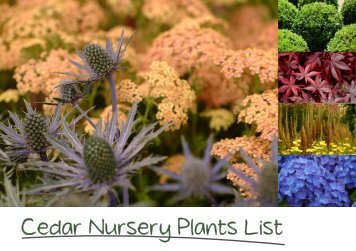 Cedar%20Nursery%20Plant%20List%20-%2027-1