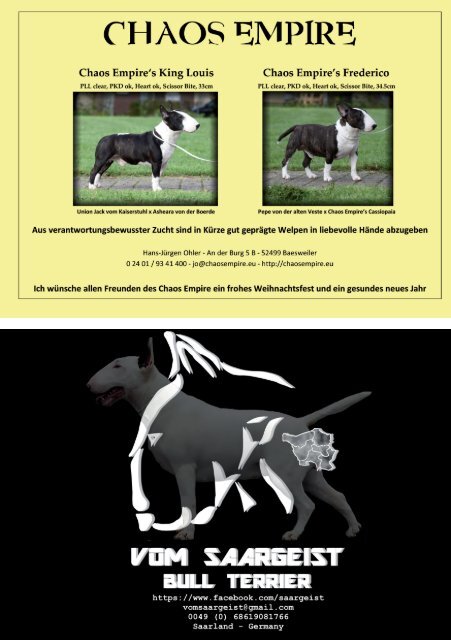 Bull Terrier Journal 2015