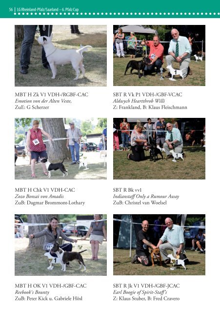 Bull Terrier Journal 2015