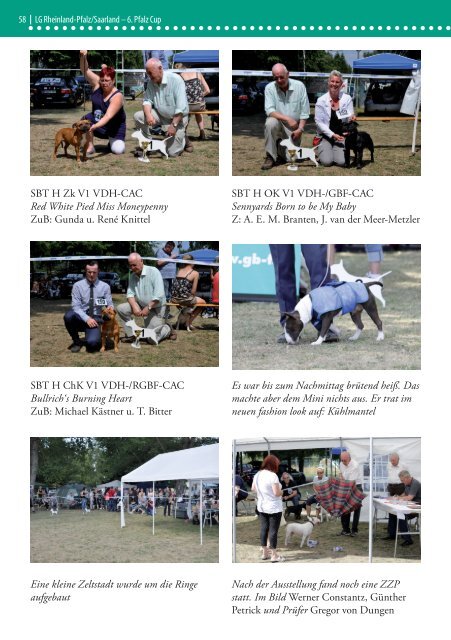 Bull Terrier Journal 2015