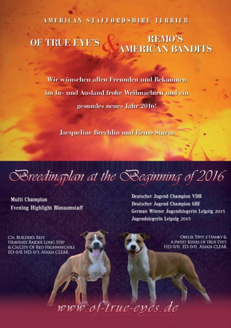 Bull Terrier Journal 2015