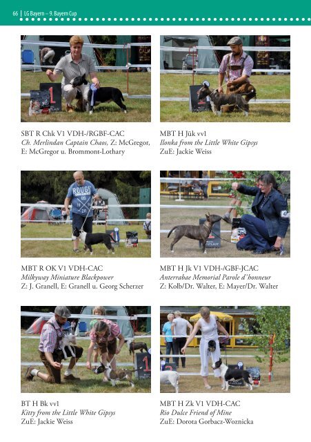 Bull Terrier Journal 2015