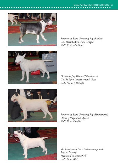 Bull Terrier Journal 2015