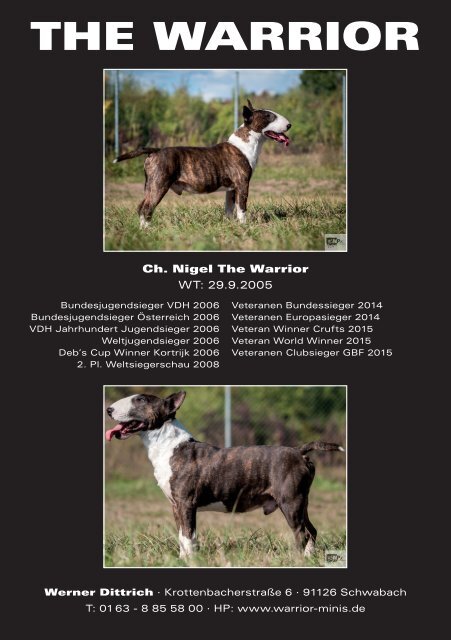 Bull Terrier Journal 2015