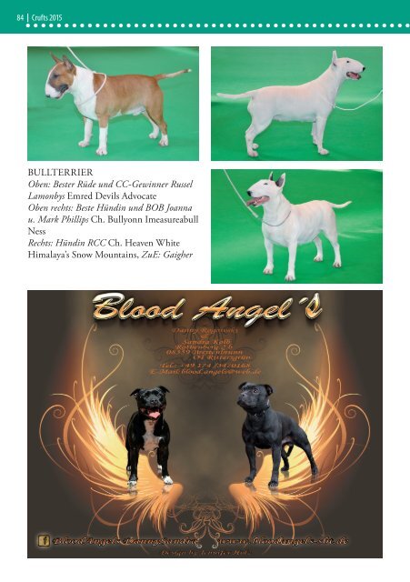 Bull Terrier Journal 2015