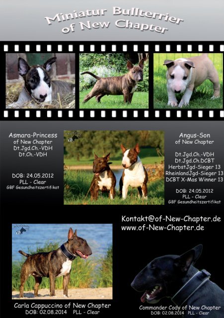 Bull Terrier Journal 2015