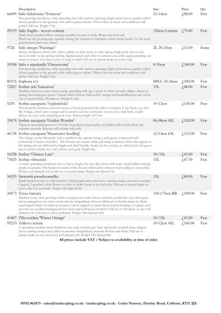 Cedar%20Nursery%20Plant%20List%20-%2027.1