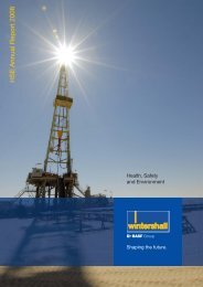 HSE Annual Report 2008 (English) - WINTERSHALL