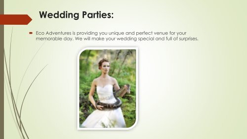 Celebrate your Events now at Eco Adventures