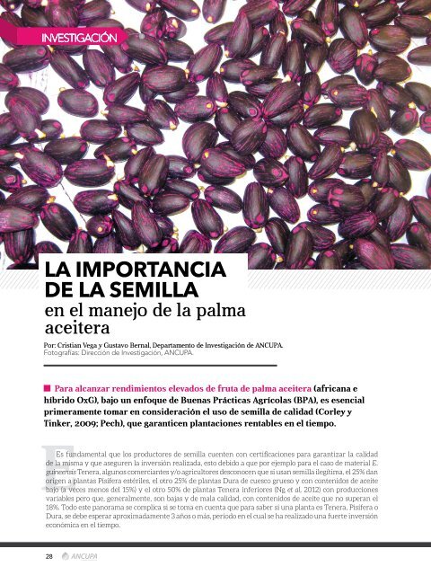 REVISTA-28