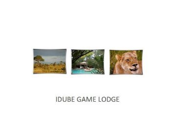 Idube Game Reserve   www.pearlsofafrica.de
