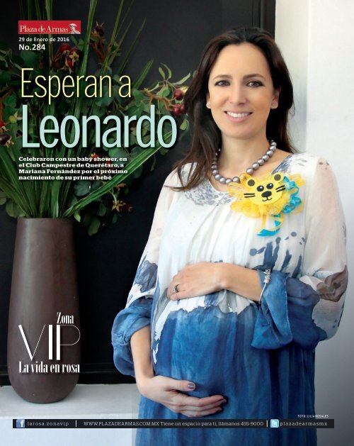 ZONA_VIP_29_ENERO_2016
