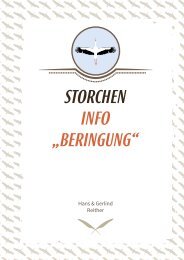 Storchen-Info Berringung