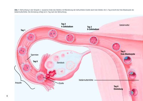 Deutsch - Klinik für Reproduktions-Endokrinologie ...