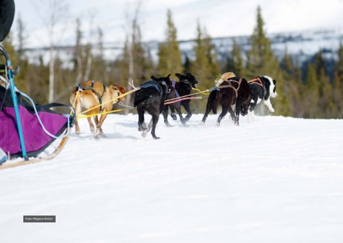 I Västerbottens natur 2015