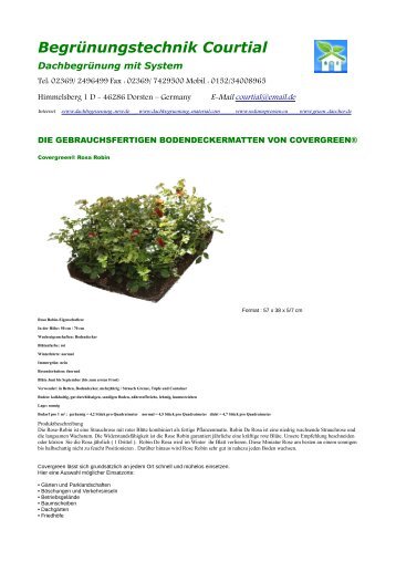 Covergreen® Rosa Robin  Bodendecker Rose Datenblatt