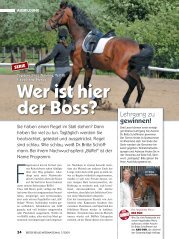 Wer ist hier der Boss? - Britta Schoeffmann