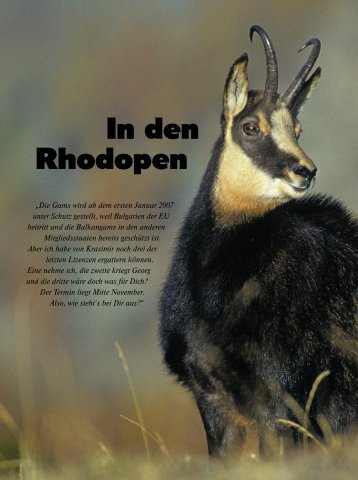 In den Rhodopen - Jagen Weltweit