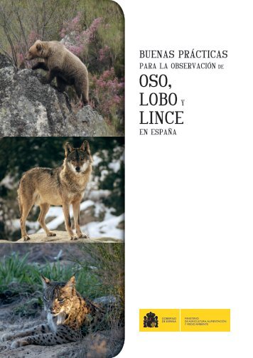 LOBO LINCE