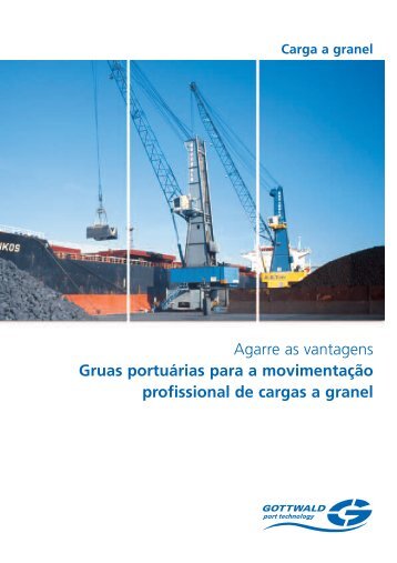 Gruas portuárias para a movimentação profissional