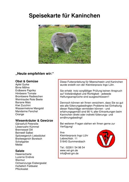 Speisekarte für Kaninchen - Kleintierpraxis Ingo Lühr