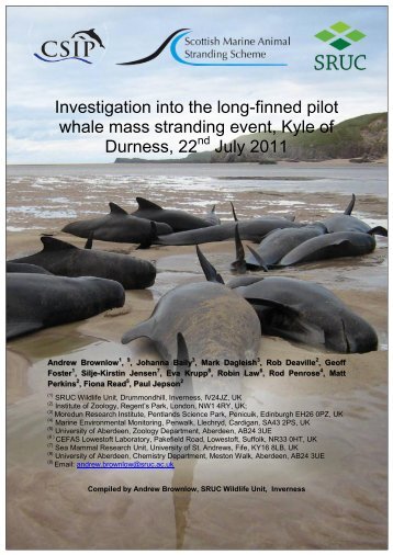 Kyle_of_Durness_Mass_Stranding_Report