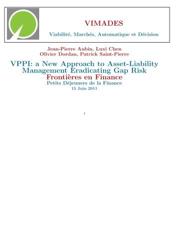 VIMADES VPPI: a New Approach to Asset-Liability Management ...