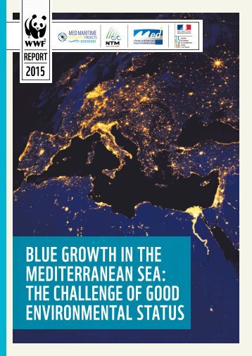 BLUE GROWTH IN THE MEDITERRANEAN SEA THE CHALLENGE OF GOOD environmental STATUS