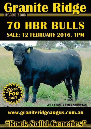 70 HBR BULLS