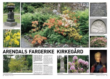 Arendals fargerike kirkegård