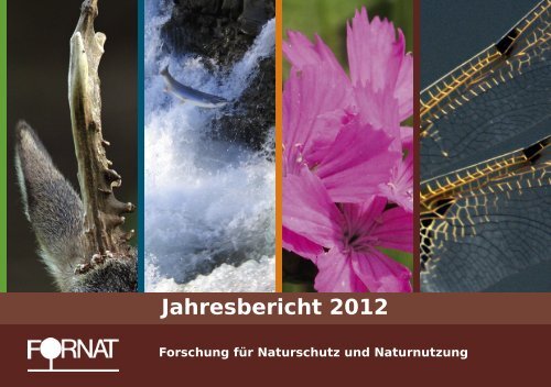 FORNAT Jahresbericht 2012