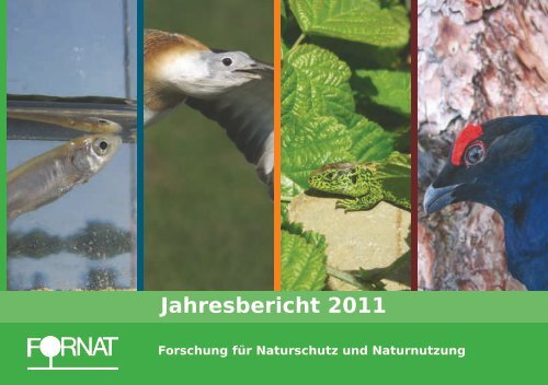 FORNAT Jahresbericht 2011