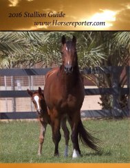 +2016StallionGuideHorseReporterWeb (2)