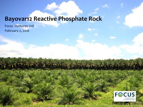 Bayovar12 Reactive Phosphate Rock