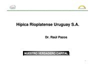 Hípica Rioplatense Uruguay S.A.