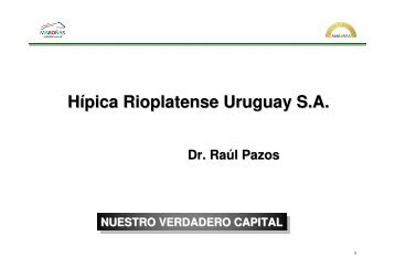 Hípica Rioplatense Uruguay S.A.