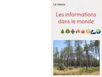 MAGAZINE 5D - Les Informations dans le monde