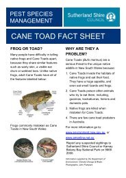 FROG OR TOAD? - Sutherland Shire Council