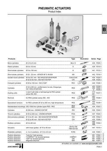 PNEUMATIC ACTUATORS